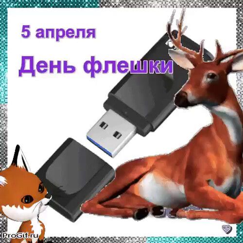 5 апреля День флешки