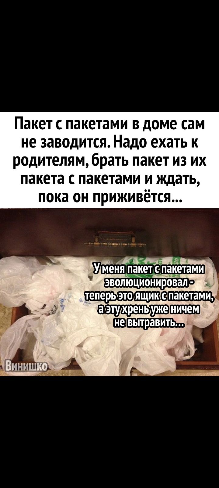 Пакет с пакетами в доме сам не заводится Надо ехать к родителям брать пакет из их пакета пакетами и ждать пока он приживётся _Ж У меня пакет ПЗКЕТЗМИ пвп