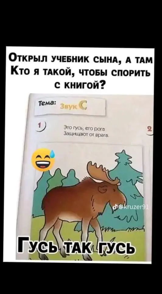 Открыл учввник сынд А тдм Кто я тдкой чтовы спорить с книгой Тема