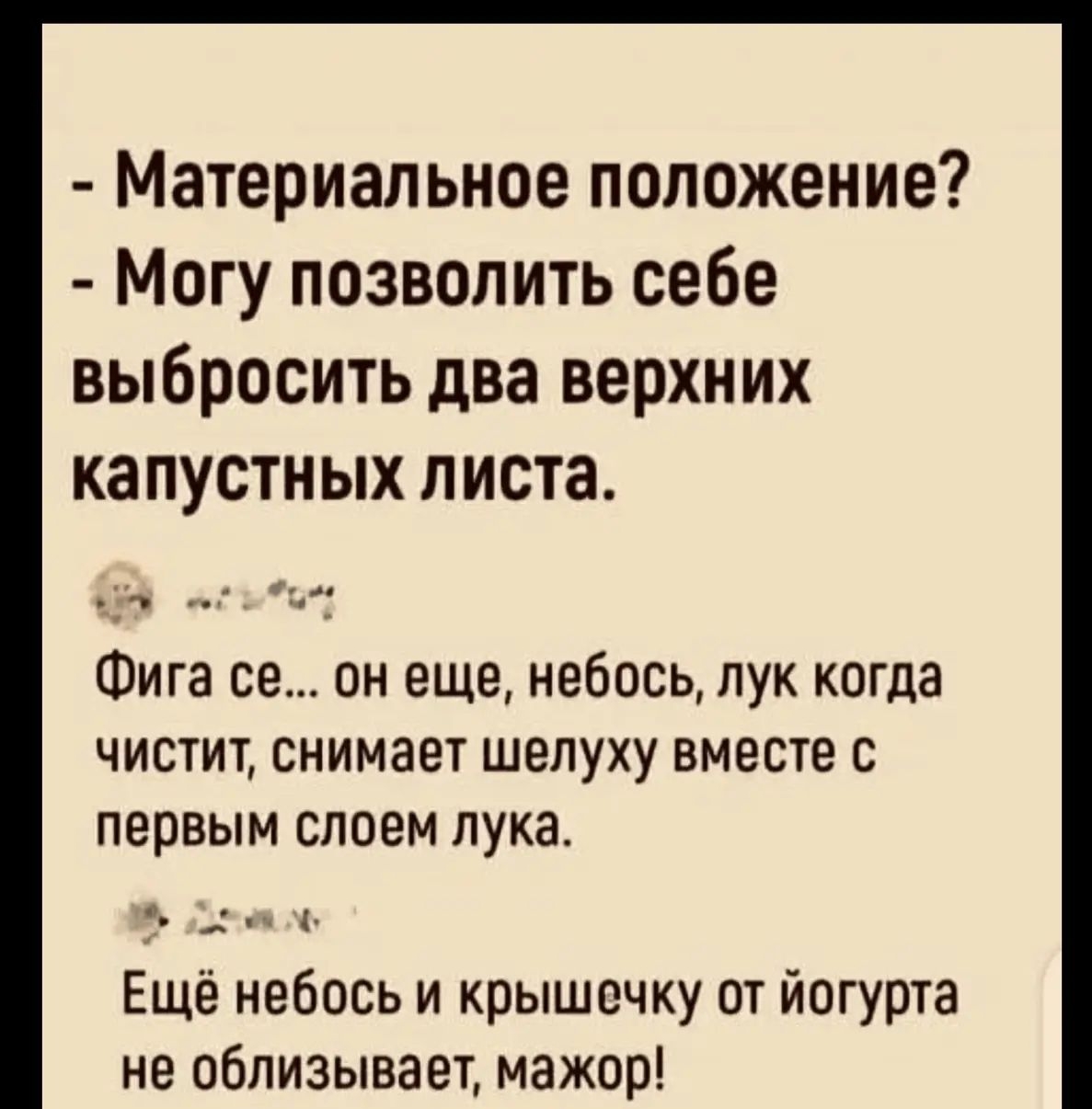 Материальное положение Могу позволить себе выбросить два верхних капустных листа Фига он еще небось пук когда чистит снимает шелуху вместе с первым слоем лука небось и крышечку от йогурта не облизывает мажор ААА