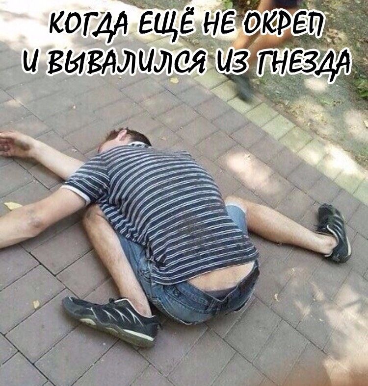 ЩШЛ 0 И К В