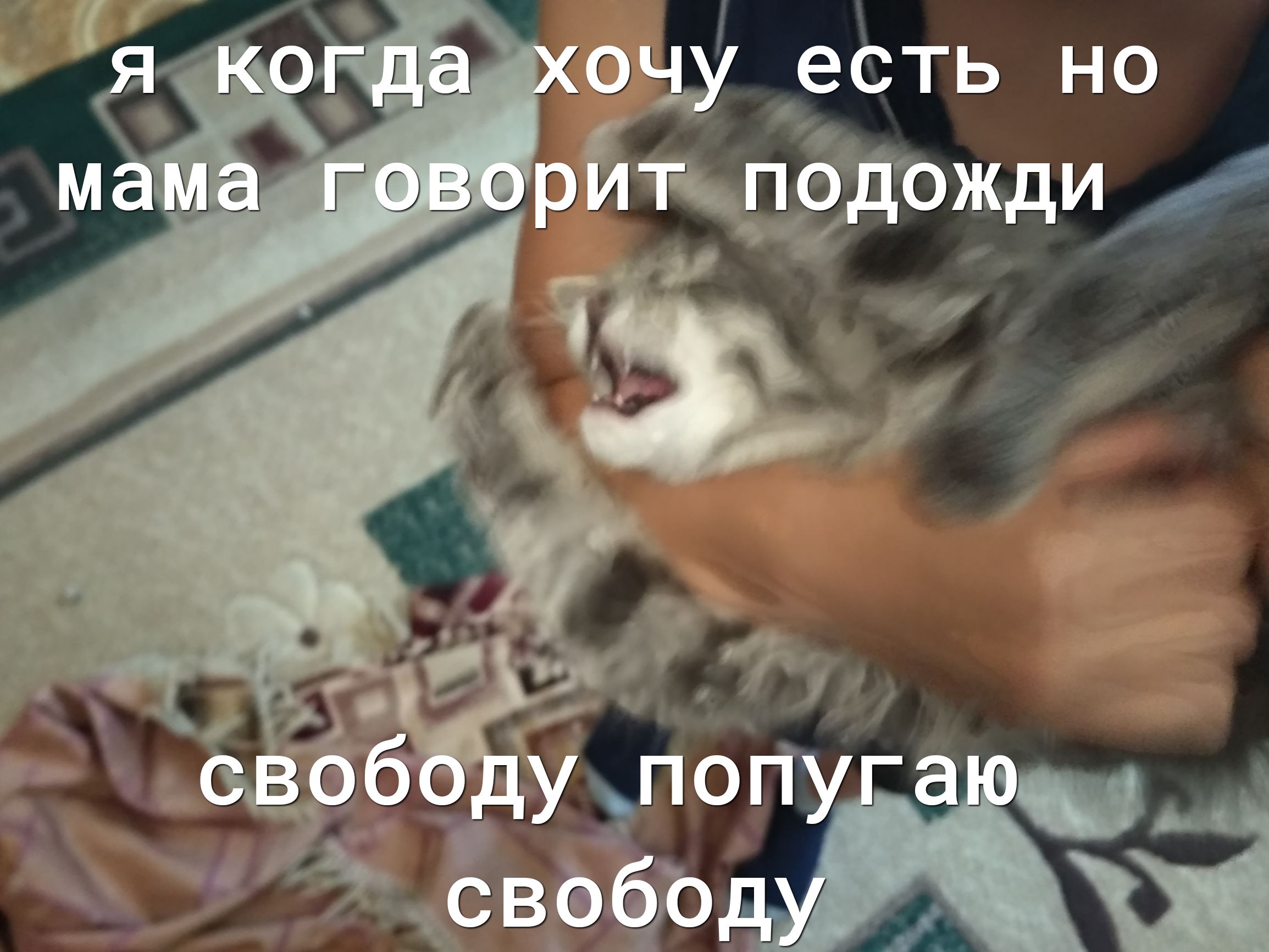 он _есть но Йкпддвжди И