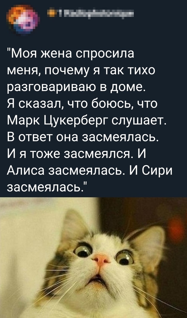 Моя жена спросила меня почему я так тихо разговариваю в доме Я сказал что боюсь что Марк Цукерберг слушает В ответ она засмеялась И я тоже засмеялся И Алиса засмеялась И Сири засмеялась