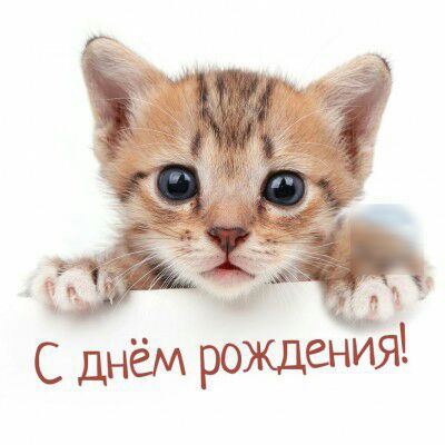 с днём рождеНИЯ