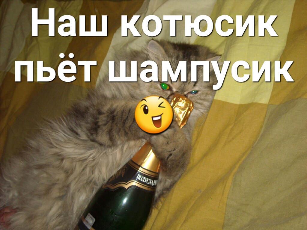 Наш пьёт шамп _Р із