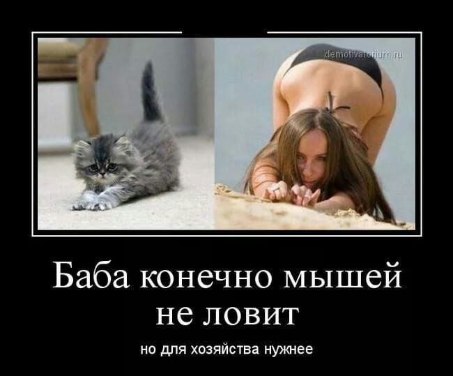 Баба конечно мышей не ловит но для хпзяйства муж