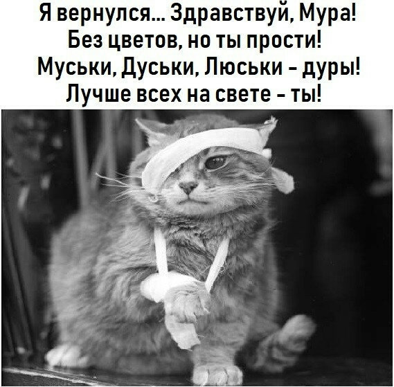 Я вернулся Здравствуй Мура Без цветов не ты прости Муськи Дуськи Люськи дуры Лучше всех на свете ты