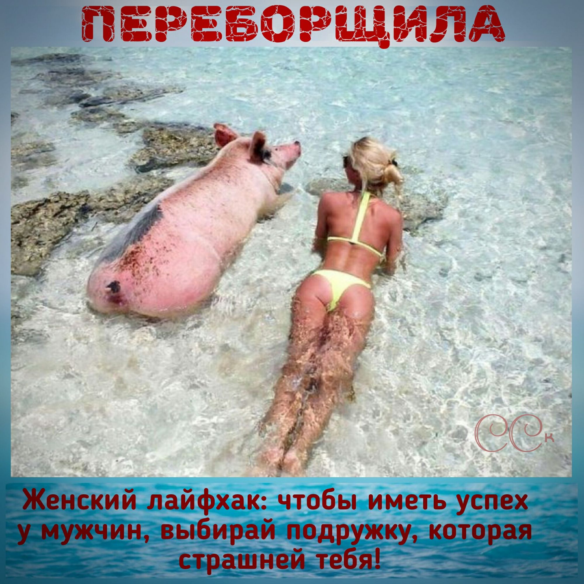 РЕБОРЩИЛА