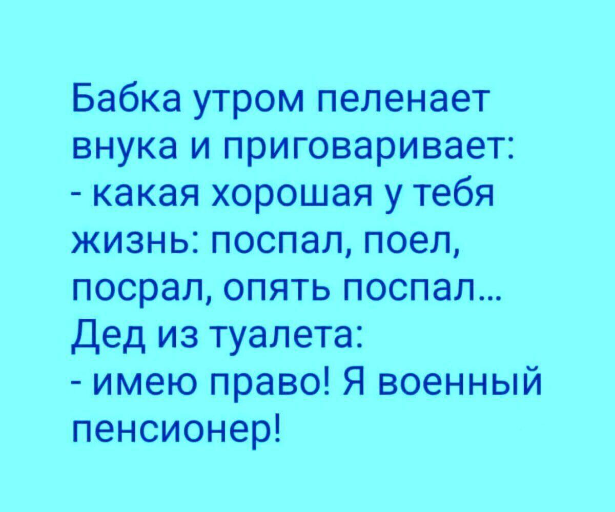 Бабка утром пеленает внука и приговаривает какая хорошая у тебя жизнь поспал поел посрал опять поспал Дед из туалета имею право Я военный пенсионер