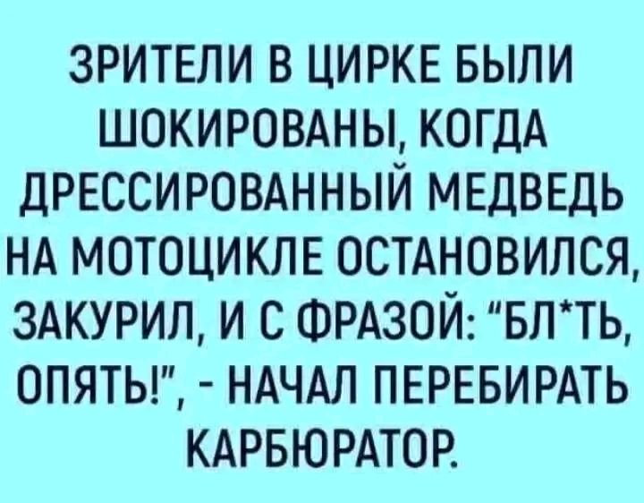 ЗРИТЕПИ В ЦИРКЕ БЫЛИ ШОКИРОВАНЫ КОГДА ДРЕССИРОВАННЫЙ МЕДВЕДЬ НА МОТОЦИКЛЕ ОСТАНОВИЛСЯ 3АКУРИЛ И С ФРАЗОЙ БЛТЬ 0ПЯТЬ НАЧАЛ ПЕРЕБИРАТЬ КАРБЮРАТОР