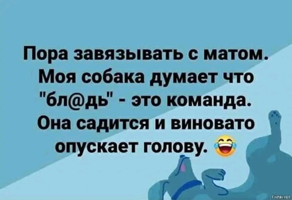Пора завязывать матом Моя собака думает что 6пдь это команда Она садится и виновато опускает голову