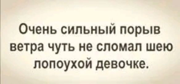 Очень сильный порыв ветра чуть не сломал шею попоухой девочке