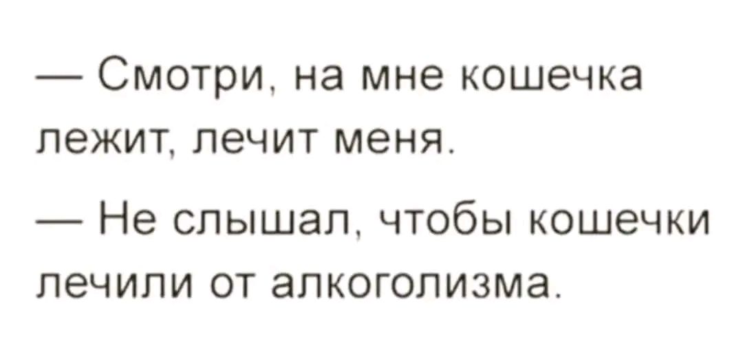 Смотри на мне кошечка лежит лечит меня Не слышал чтобы кошечки печипи от алкоголизма