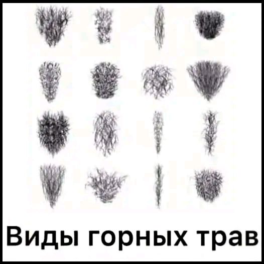 Виды горных трав
