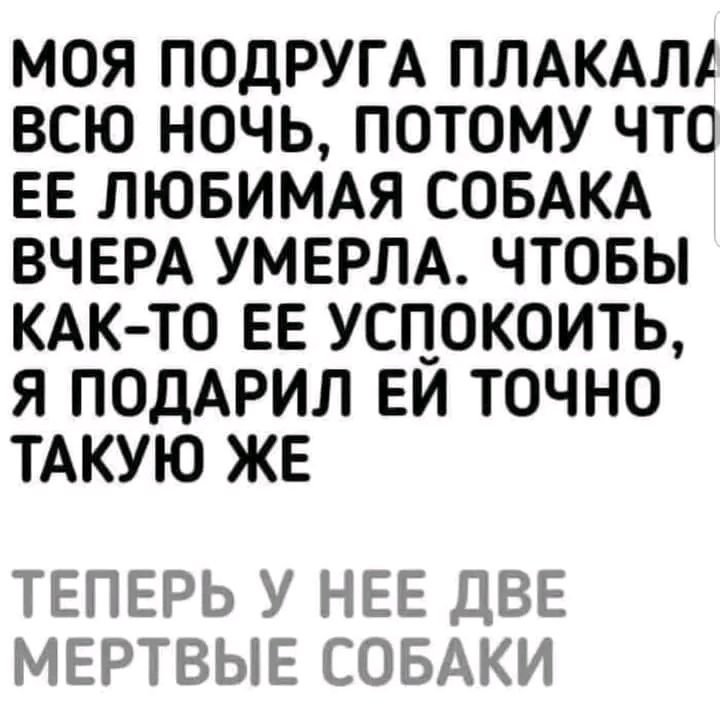 МОЯ ПОДРУГА ПЛАКАЛ ВСЮ НОЧЬ ПОТОМУ ЧТО ЕЕ ЛЮБИМАЯ СОБАКА ВЧЕРА УМЕРЛА ЧТОБЫ КАК ТО ЕЕ УСПОКОИТЬ Я ПОДАРИЛ ЕЙ ТОЧНО ТАКУЮ ЖЕ ТЕПЕРЬ У НЕЕ ДВЕ МЕРТВЫЕ СОБАКИ