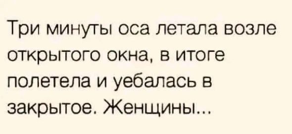 Три минуты ОСЗ летала ВОЗЛЕ открытого окна в итоге полетела и уебалась в закрытое Женщины