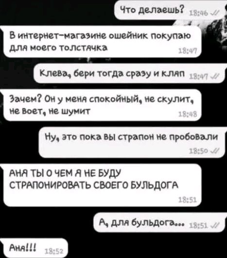 что делаешь В интернетмагазине ошейник покупаю для моего толстлчка клева бери тогда сразу и клип Зачем 0 у не спокойный не скупит ие воет не шумит Ну это пока вы страпон не пробовали АНЯ ТЫ О ЧЕМ Я НЕ БУДУ СТРАПОНИРОВАТЬ СВОЕГО БУЛЬДОГА А для бульдога