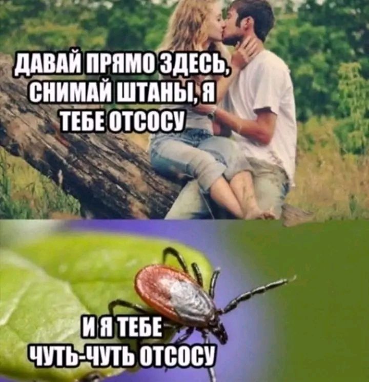 тдши пгпип здйёь 34 _ ЧП_Ь ПЬВШМБУ