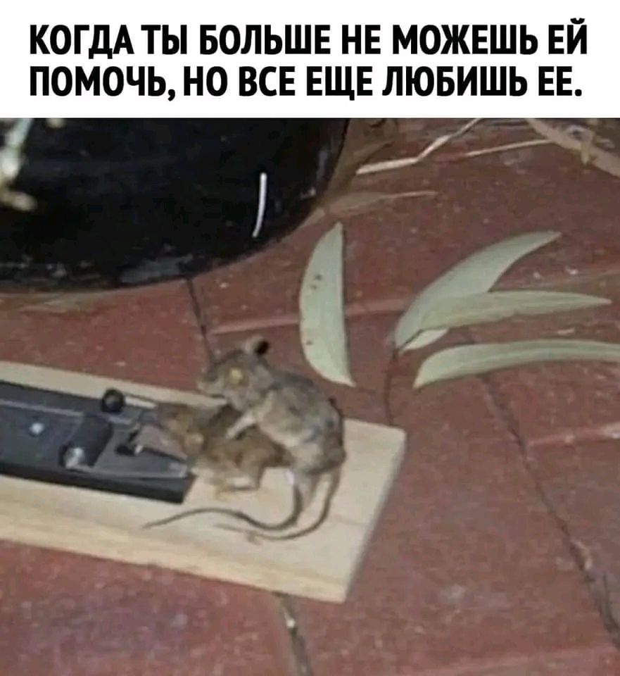 КОГДА ТЫ БОЛЬШЕ НЕ МОЖЕШЬ ЕЙ ПОМОЧЬ НО ВСЕ ЕЩЕ ЛЮБИШЬ ЕЕ