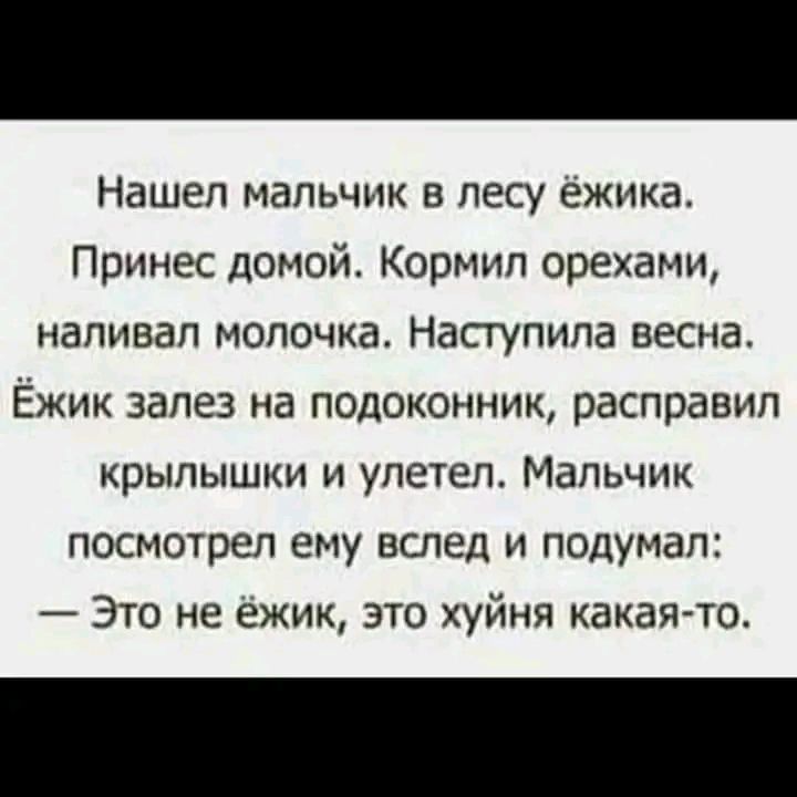 Нашел мальчик в лесу ежика Принес домой Кормип орехами напивап молочка Насгупипа весна Ёжик залез на подоконник расправип крылышки и улетел Мальчик посмотрел ему вслед и подумал Это не ежик это хуйня какая то