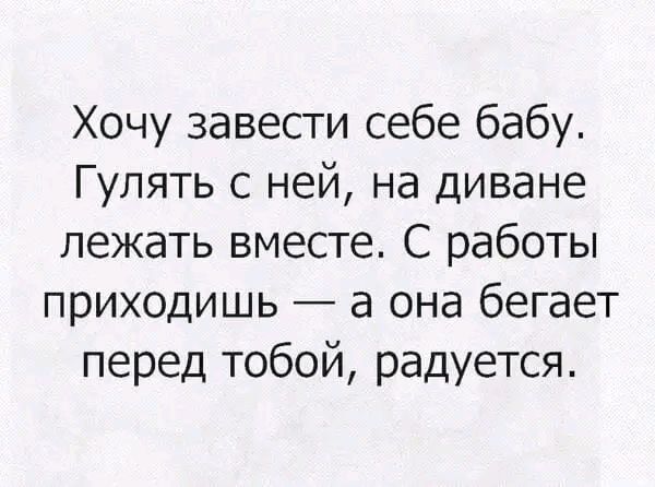 Хочу завести себе бабу Гулять с ней на диване лежать вместе С работы приходишь а она бегает перед тобой радуется