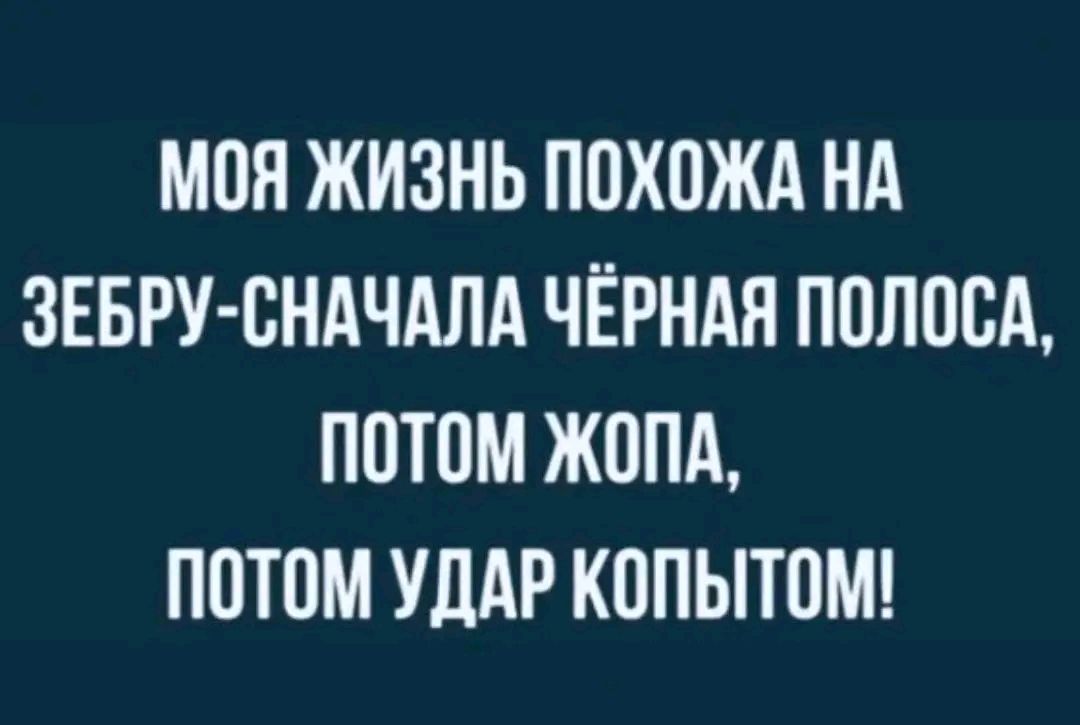 МОЯ ЖИЗНЬ ПОХОЖА НА ЗЕБРУ СНАЧАЛА ЧЁРНАЯ ПОЛОСА ПОТОМ ЖОПА ПОТОМ УДАР КОПЫТОМ