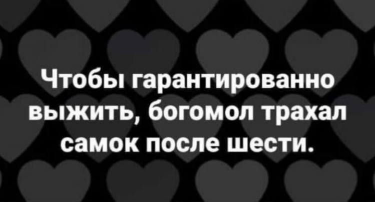 Чтобы гарантированно выжить богомол трахал самок после шести