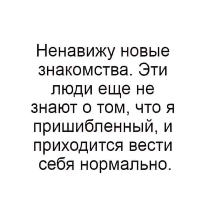 Ненавижу новый. Мы познакомились цитаты.