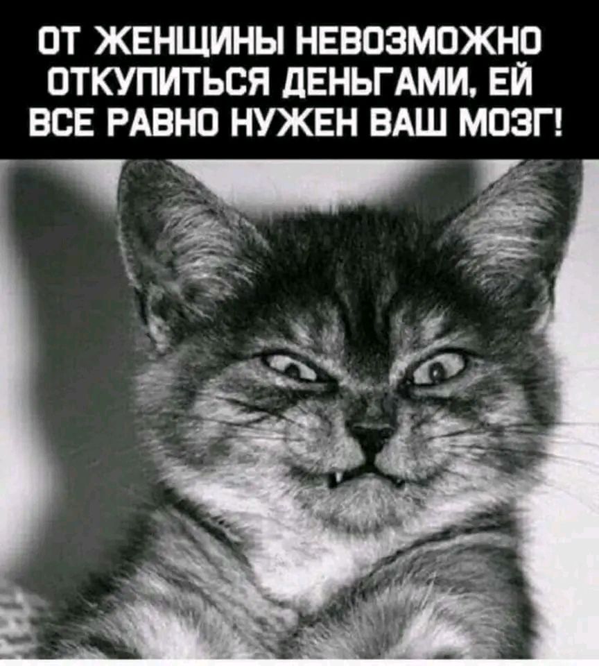 ОТ ЖЕНЩИНЫ НЕВОЗМОЖНО ОТКУПИТЬСЯ дЕНЬГАМИ ЕЙ ВСЕ РАВНО НУЖЕН ВАШ МОЗГ