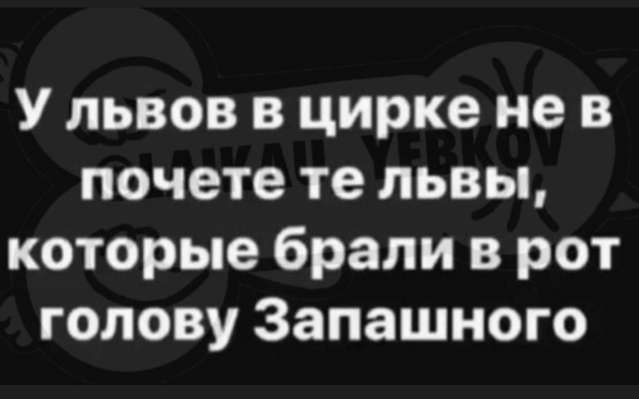 У львов в цирке не в почете те львы которые брали в рот голову Запашного