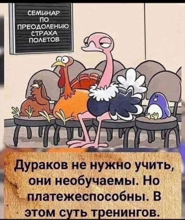 СЕМИНАР по ПРЕОАОАЕНШО 5 дураков не нужно учить они необучаемы Но ппатежеспособны В этом с ьт енингов