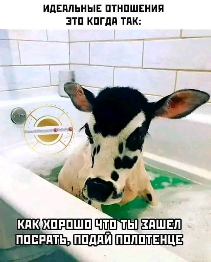 ИДЕППЬНЫЕ ПТНПШЕНИЯ ЭТП КПГдП ТПК кпк хпппшп ШШШ ппспягь ШШШ пппптвнцв