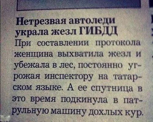 етрезвая автоледи украла жезл ГИБДД При составлении ПРОГПКЦНЦ женщина выхватила 310351 И убежала в лес постоянно уг рожал инспектору на татар ском языке А ее спутница в это время подкинула в пат РУЛЬНУЮ машину дОХЛЫХ кур