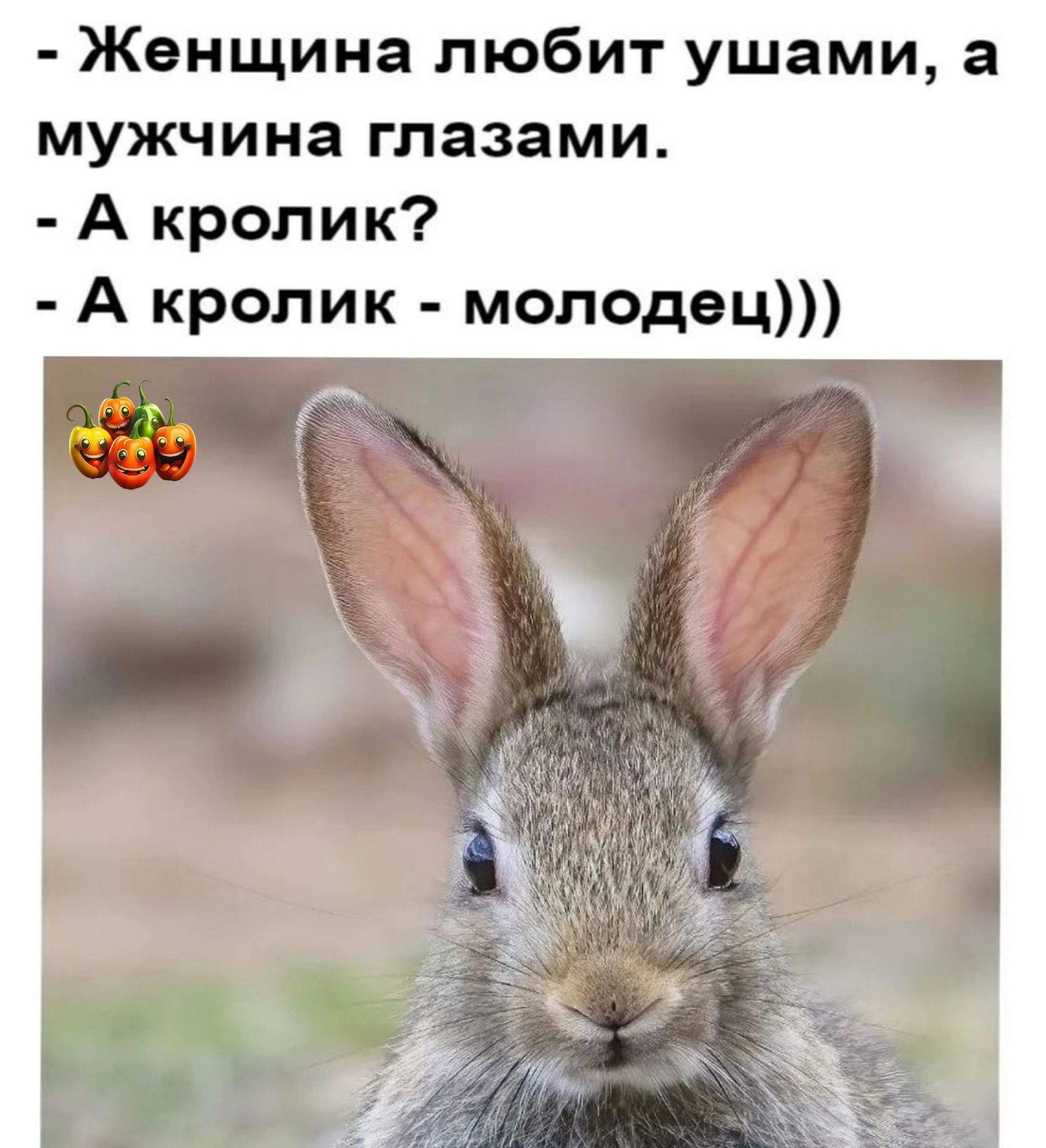 Женщина любит ушами а мужчина глазами А кролик А кролик молодец