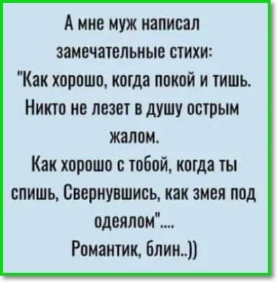 А мне муж написал замечательные стихи Как хорошо когда покой и тишь Никто не лезет в душу острым жалом Как хорошо с тобой когда ты спишь Свернувшись как змея под одеялом Романтик блин