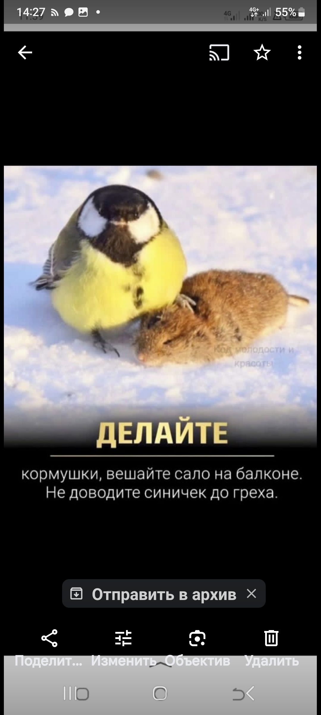 1427 55 Юйё кормушки вешайте СЭПО на балконе Не дОВОДИТЕ СИНИЧЕК ДО греха Отправить в архив Ні Э Ё