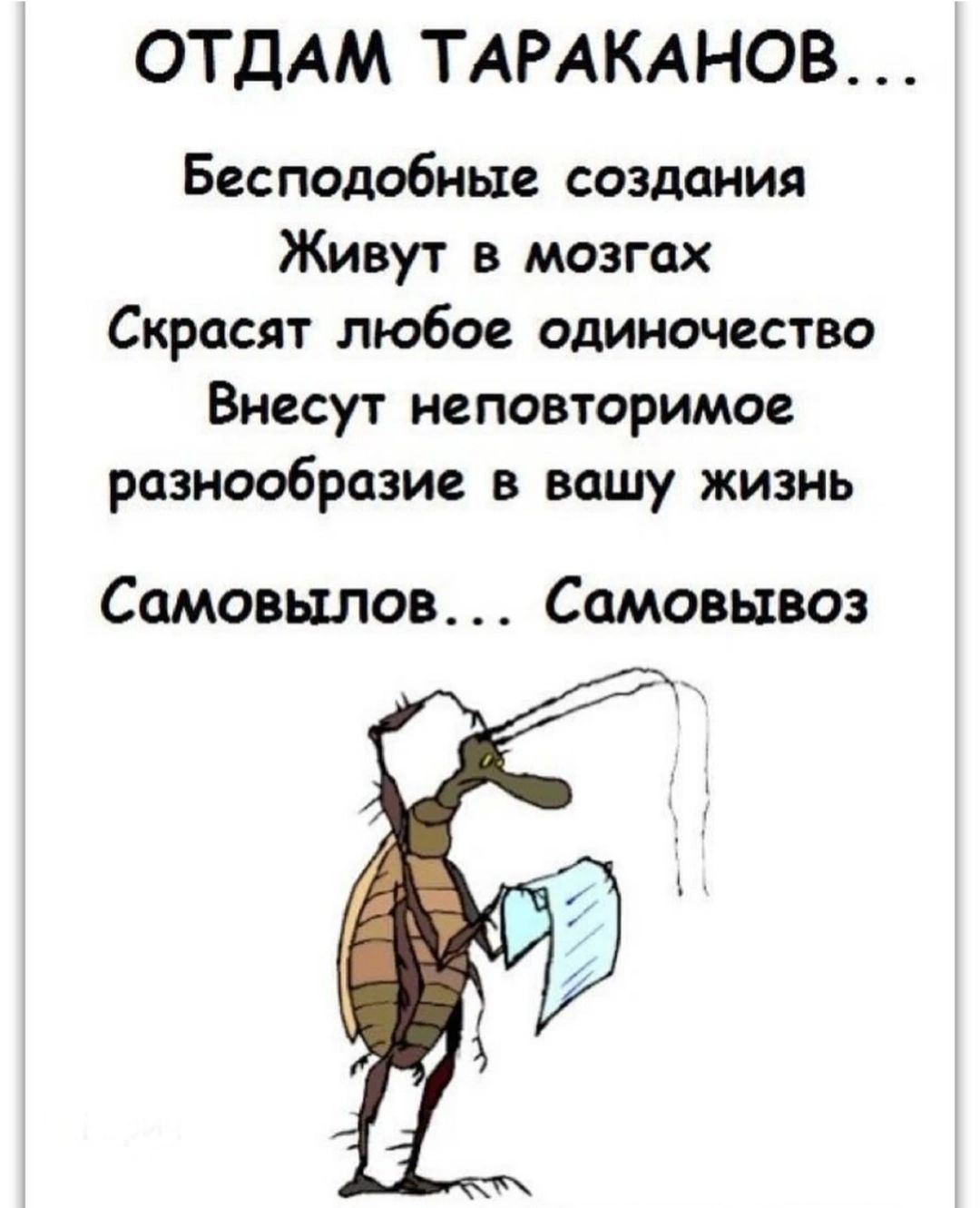 ОТДАМ ТАРАКАНОВ Бесподобные создания Живут в мозгах Скрасят любое одиночество Виесут неповторимое разнообразие в вашу жизнь Самовылов Самовывоз