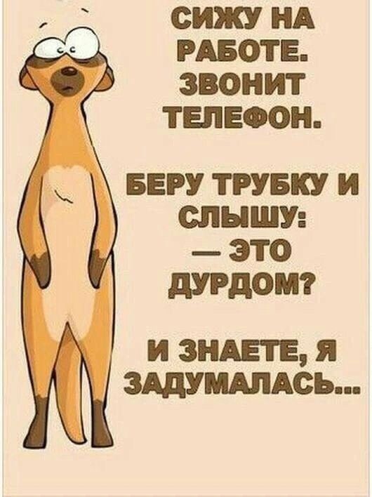 СИЖУ НА РАБОТЕ ЗВОНИТ ТЕЛЕФОН БЕРУ ТРУБКУ И СПНШУ это 110 и зидвтв я зддшдмсь