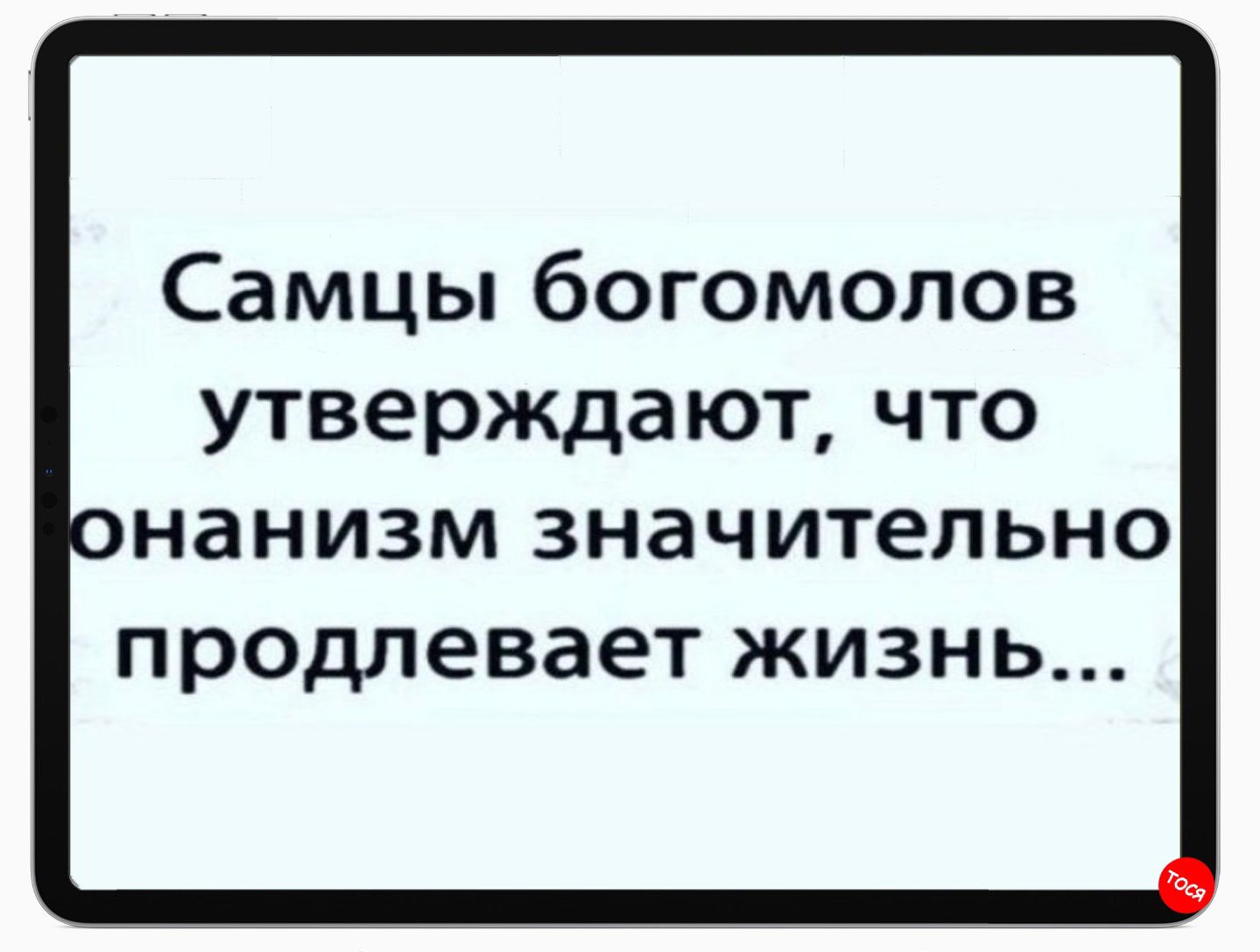 Самцы богомолов утверждают что нанизм значительно продлевает жизнь