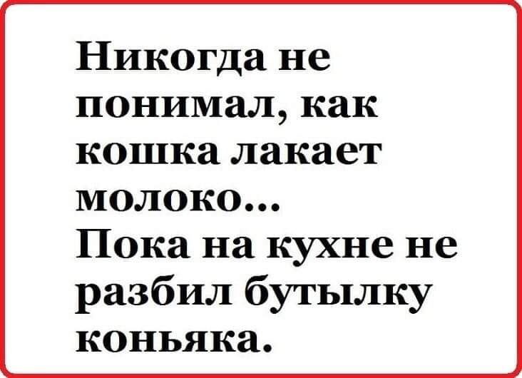 Никогда не понимал как кошка лакает МОЛОКО Пока на кухне не разбил бутылку коньяка