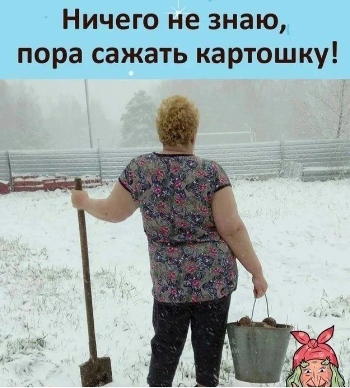 Ничего не знаю пора сажать картошку