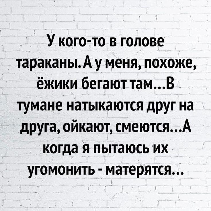 У кого то в голове тараканыА у меня похоже ёжики бегают тамВ тумане натыкаются друг на друга ойкают смеютсяА когда я пытаюсь их угомонить матерятся