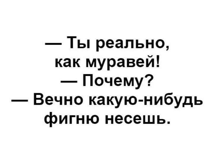 Ты реально как муравей Почему Вечно какую нибудь фигню несешь