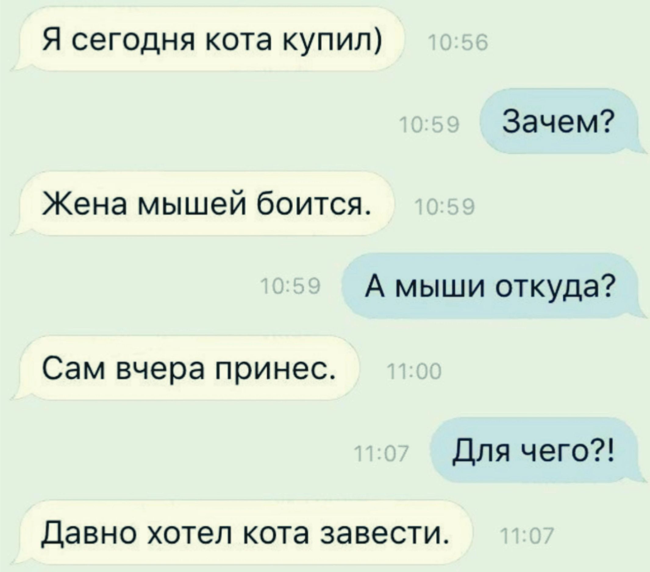 Я сегодня кота купил Зачем Жена мышей боится А мыши откуда Сам вчера принес для чего Давно хотел кота завести