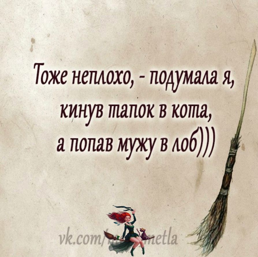 Тоже неплохо подумала я кинув шток в кота попав мужу в лоб