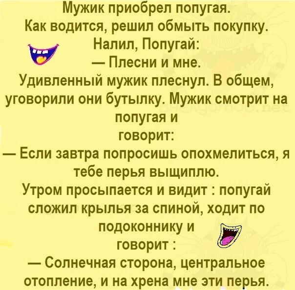 Мужик приобрел попугая Как водится решил обмыть покупку Налил Попугай Плесни и мне Удивленный мужик плеснул В общем уговорили они бутылку Мужик смотрит на попугая и говорит Если завтра попросишь опохмелитьоя я тебе перья выщиппю Утром просыпается и видит попугай сложил крылья за спиной ходит по подоконнику и говорит Солнечная сторона центральное отопление и на хрена мне эти перья