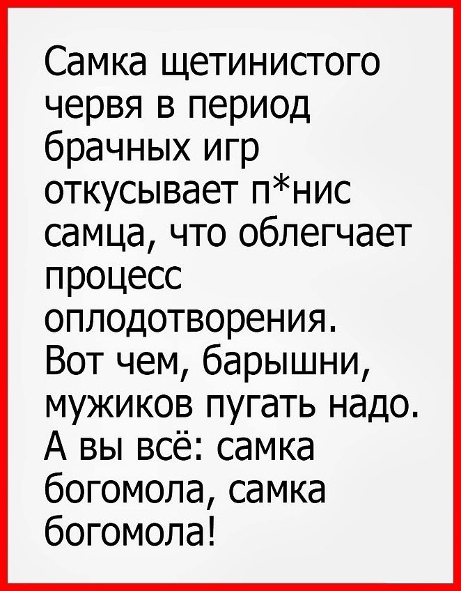 Самка щетинистого червя в период брачных игр откусывает пнис самца что облегчает процесс оплодотворения Вот чем барышни мужиков пугать надо А вы всё самка богомола самка богомола