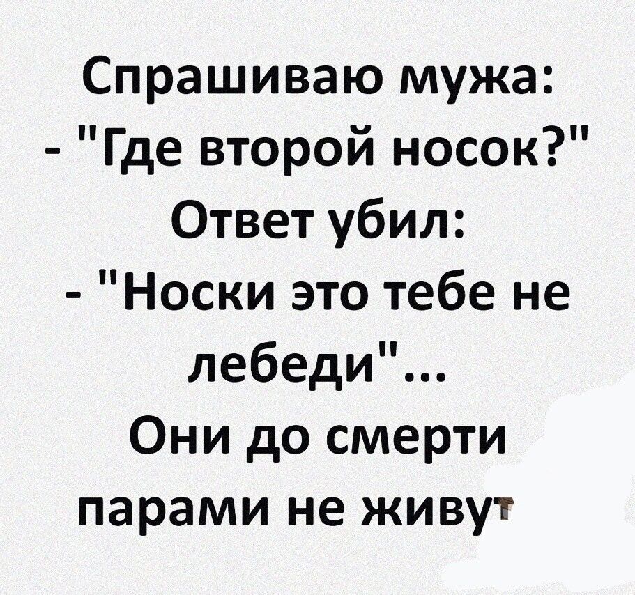 Спрашиваю мужа Где второй носок Ответ убил Носки это тебе не лебеди Они до смерти парами не живут