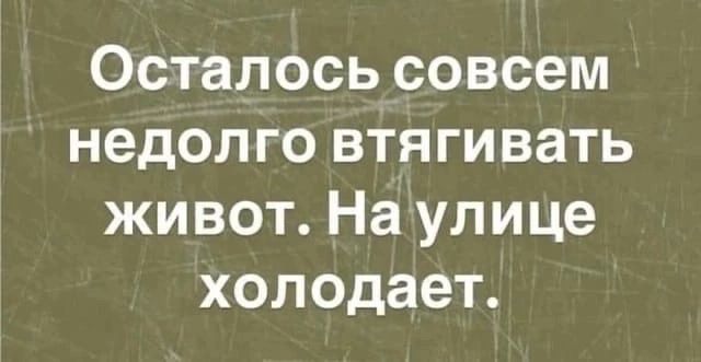 Осталось совсем недолго втягивать живот На улице холодает