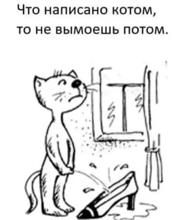 Что написано котом то не вымоешь потом